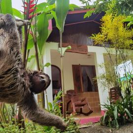 Cabinas Tito, hotel u gradu Kauita