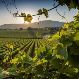 CasaViva - Grazioso Bilocale in Franciacorta