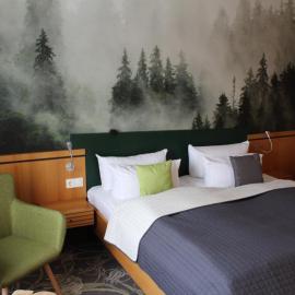 Hotel Rennsteig, hotel en Masserberg