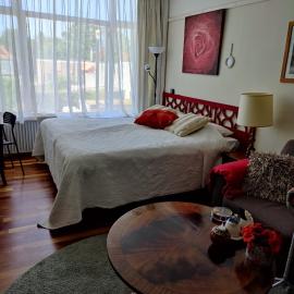 Cosy appartement Wassenaar, מלון בואסנאר