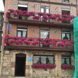 Pensión Rosa, hotel in Cabezón de la Sal