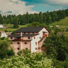 Pensiunea Auras, Hotel in Dorna-Arini