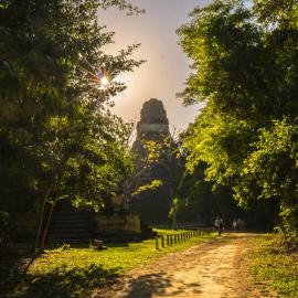 Tikal में, होटल Jungle Lodge Tikal Hostal
