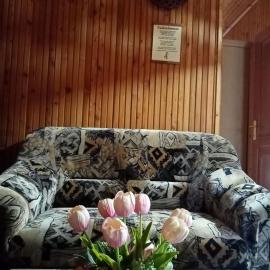 Erdei Szalonka Vendégház, hotel in Háromhuta