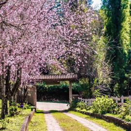 Pousada das Flores, hotel a Gonçalves