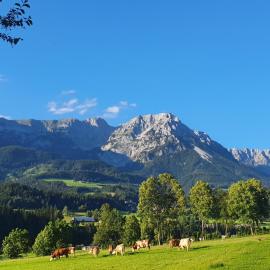 Bauernhof Neu-Endfelden, Günter Widauer, hotel di Soll