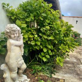 Chez Chris, hotel in Jard-sur-Mer