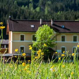 Gabis Lodge
