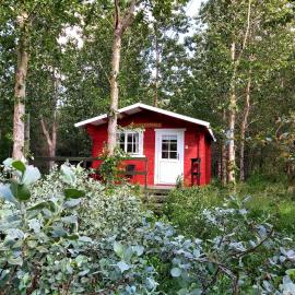 Bakkakot 3 Cozy Cabin In The Woods โรงแรมในอาคูเรย์รี