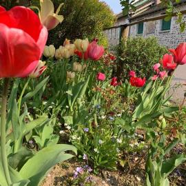 Le Clos de l'Eglise - Blanche, hotel in Giverny