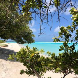 Royal Reef Stay, hotel em Mathiveri
