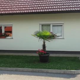Apartman Luce