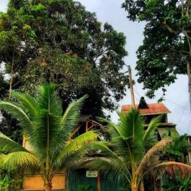 Raices Mompiche, Hotel in Mompiche