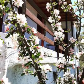 Maro's Guesthouse, hotel in Agios Lavrentios