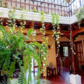 Hotel Casa Sofia, hotel em Antigua Guatemala