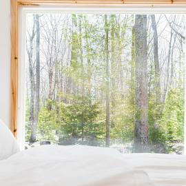 The Rex: Greentown şehrinde bir otel