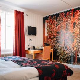 Eksjö Stadshotell Annex, hotel in Eksjö