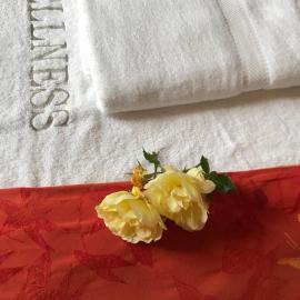Maison d'hôtes de Charme, Wellness Experience, Hotel in Bayeux