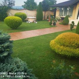 Pensiunea Terra, hotel en Păcăleşti