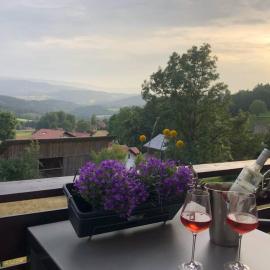 Apartment Tälerblick