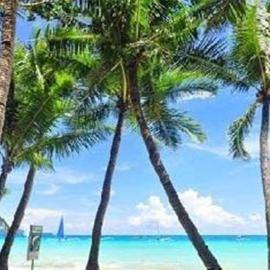 Viesnīca Boracay Coco Huts Borakajā