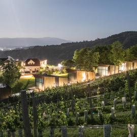 Tri lučke Hotel & Restaurant, khách sạn ở Krško