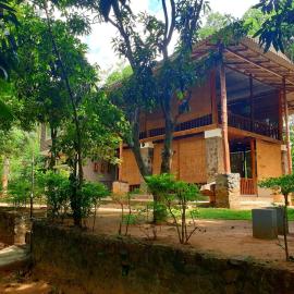 Jungle House