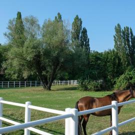 Equiliber Reitsportzentrum Burgenland, hotel in Wulkaprodersdorf