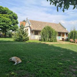 Villa Diiva Čurug, hotell sihtkohas Čurug