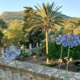 Casa Castellitx Mallorca, hotel di Castellitx