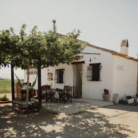 La Caseta de Panisello, hotel i Deltebre