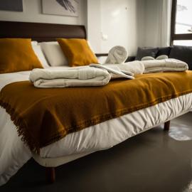 LOFT EL PATIO
