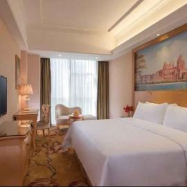 Vienna Hotel Shenzhen Baoneng City Plaza, hotel a Longgang