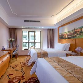 Vienna Hotel Nanning Gaoxin District, ξενοδοχείο σε Νανίνγκ