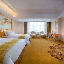 Vienna Hotel Guangdong Gaozhou City East Passenger Depot