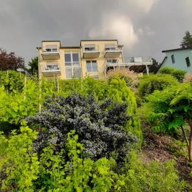 Casa la vino, hotel a Leiwen