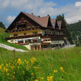 Viesnīca Hotel Turracherhof pilsētā Turraherhoe