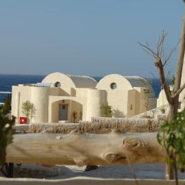The Oasis