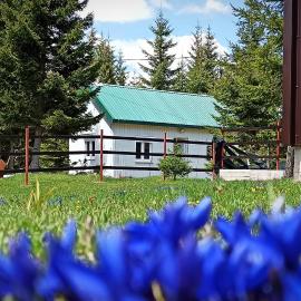 Rural household Edelweiss