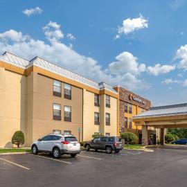 Comfort Inn Wings Stadium, hotel a Kalamazoo