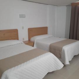 Leo Hotel, hotel in Jerez de García Salinas