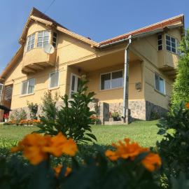 Casa Asined, hotel in Întorsura Buzăului