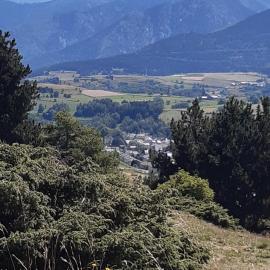 La Chouette