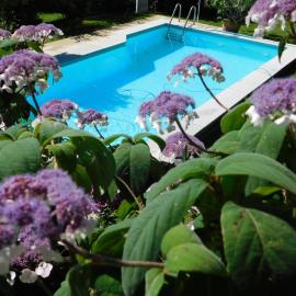 Four Seasons Apartment "GREEN PARADISE", hôtel à Villach
