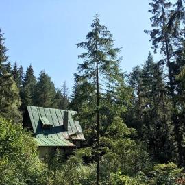 Enchanted Forest Chalet, hotel in Tatranska Strba