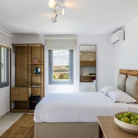 Landi House Mykonos