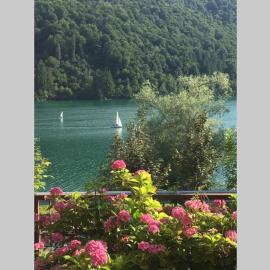Casa a schiera fronte lago con giardino, hotel in Barcis