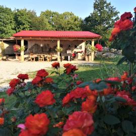 VILLA SALVIA - Holiday house with pool -