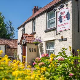 The Cottage, hotel in Bristol