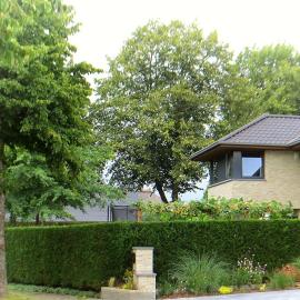 Bed and breakfast Mentari